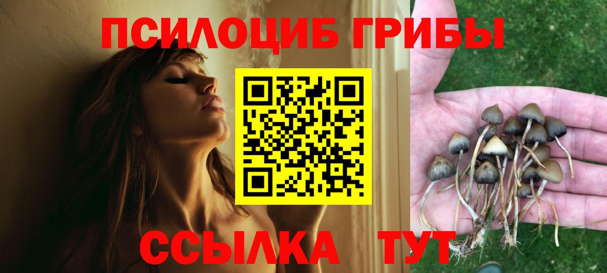 Троицк  Псилоцибиновые грибы MAGIC MUSHROOMS  Вход с VPN 